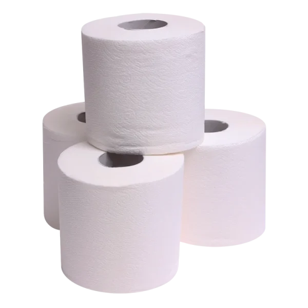 EcoClean Quick Dissolve Toilet Tissue 2-Ply, 4 Rolls
