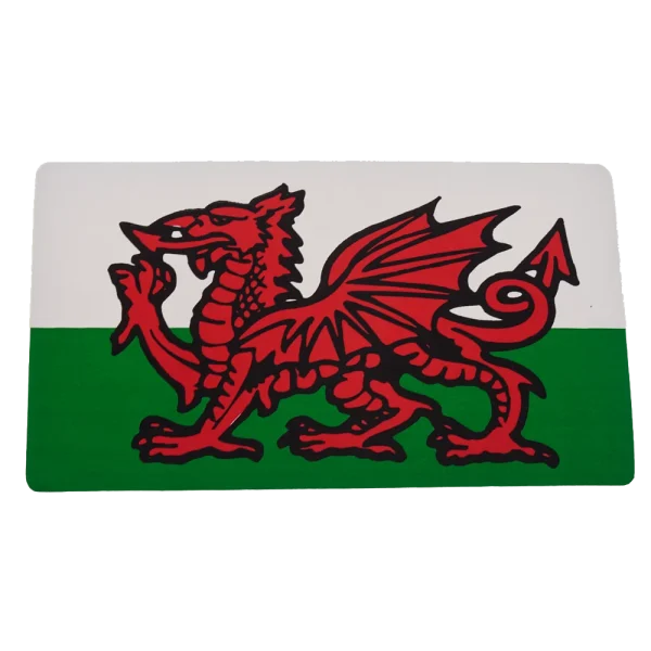 W4 Rectangle Welsh Dragon Sticker